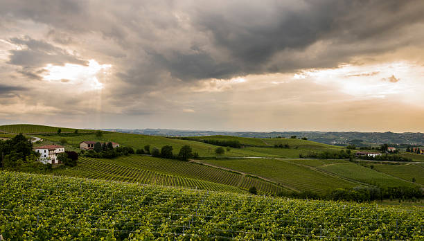 Wine landscape with dark sky, sunbeams and clouds near Castel Rocchero in Piedmont, Italy.