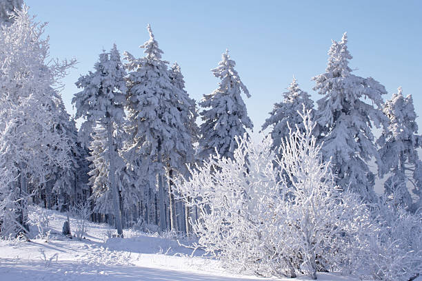 istock Winter impression on the Feldberg in Taunus. Germany 614858354