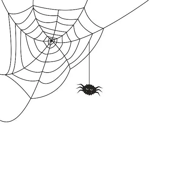 Vector illustration of Halloween spider web and spider. Hector venom cobweb. Vector illustration.