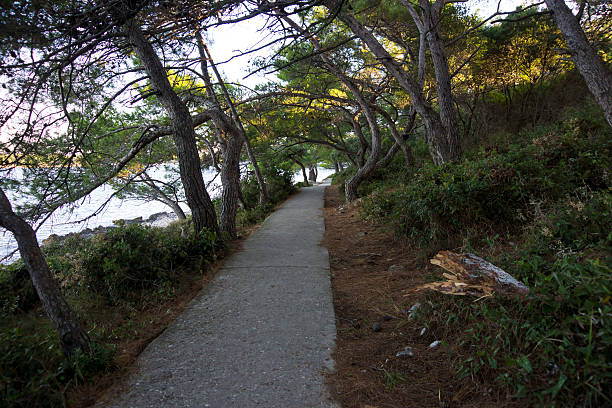 istock Hiking path near Mali Losinj, Croatia 614860912