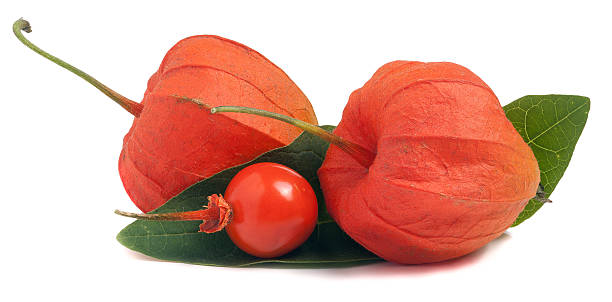 istock husk tomatoes or physalis with leaf isolated on white background 614865420