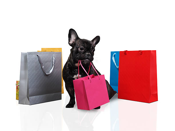 istock Cute dog holding in teeth a bag for purchases 614868336