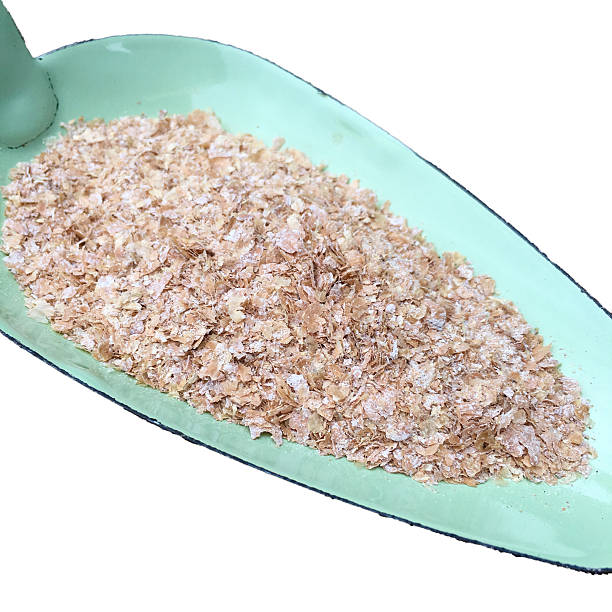 istock Wheat bran on a green shovel in closeup 614868668
