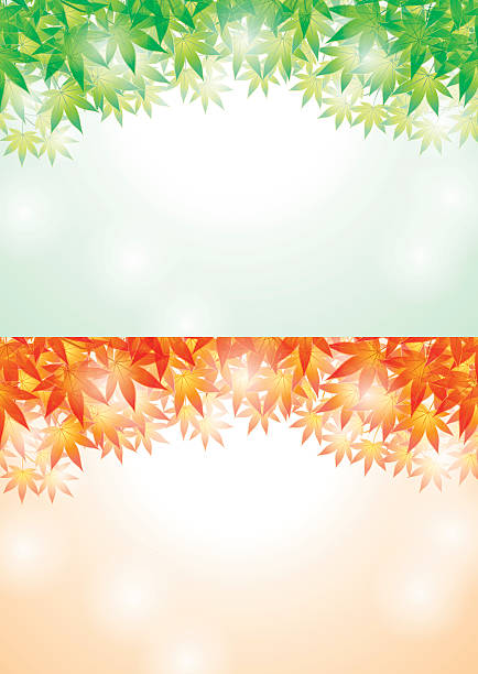 ilustrações de stock, clip art, desenhos animados e ícones de summer and autumn leaves. japanese landscape. - changing form change backgrounds leaf