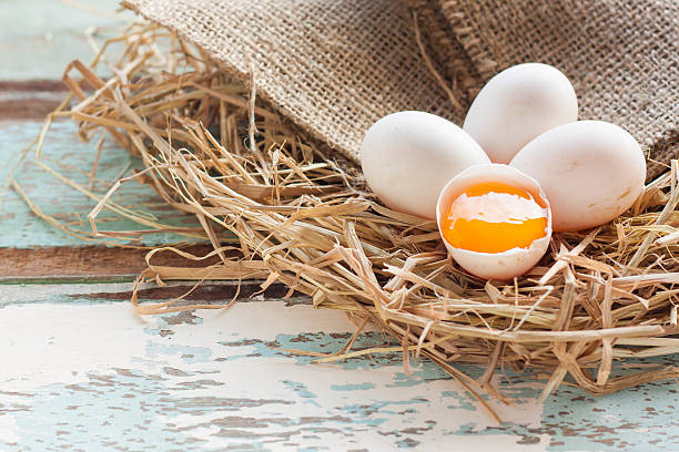 istock Organic white eggs on vintage wooden background. 614874992