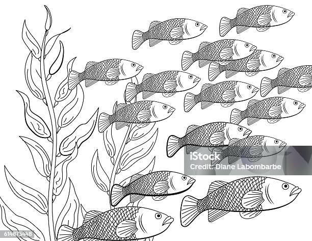Underwater School Of Fish Adult Coloring Book Page Stock Illustration - Download Image Now - School of Fish, Adult, Animal