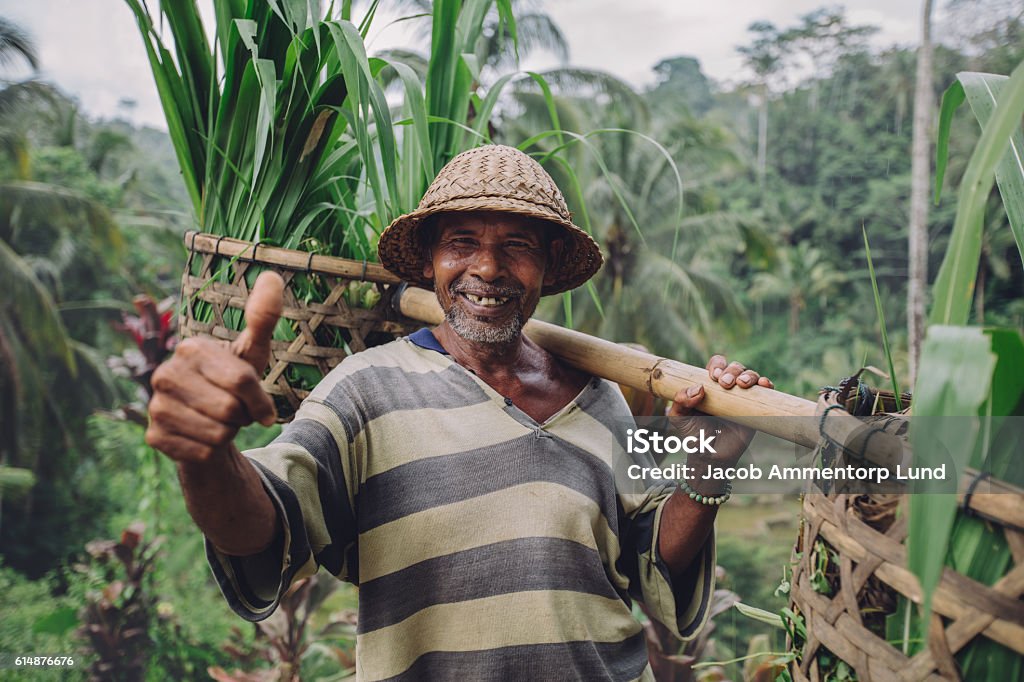 Happy senior farmer giving thumbs up Shot of happy senior farmer giving thumbs up. Senior man smiling and carrying a yoke on his shoulders with seedlings. People Stock Photo