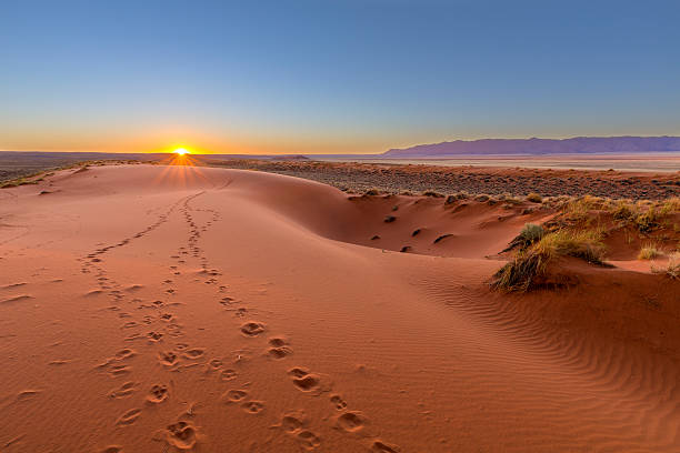 kalahari sonnenuntergang - namibia stock-fotos und bilder