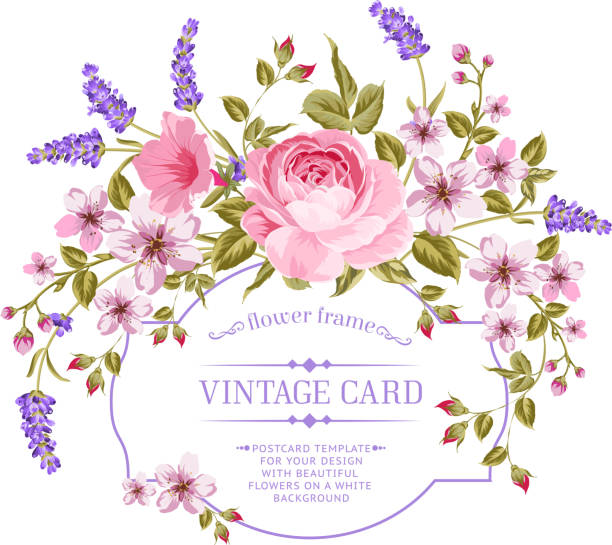 luxus-einladung karte. - lavender coloured lavender flower frame stock-grafiken, -clipart, -cartoons und -symbole
