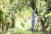 Man Showing to a Woman Which Apple to Pick