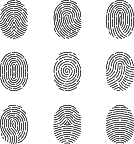 ilustrações de stock, clip art, desenhos animados e ícones de fingerprint icons vector set - track vector individuality thumbprint