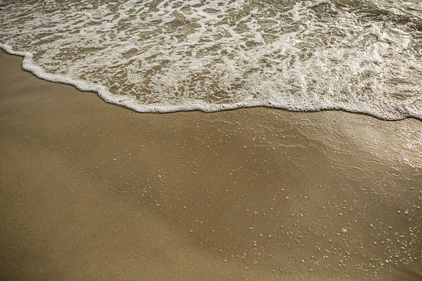 istock Soft wave of sea on the sandy beach 614954230
