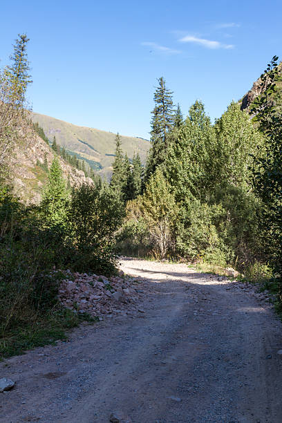 istock gravel road in the mountains 614954368