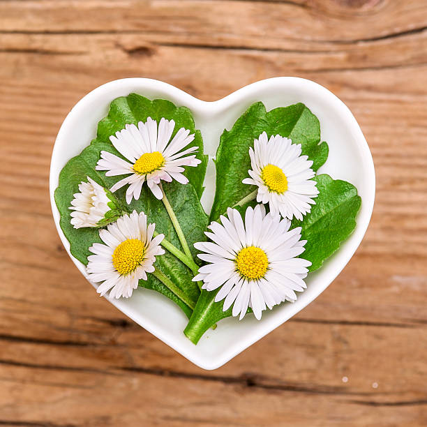 istock Homeopathy and cooking with daisy 614956920