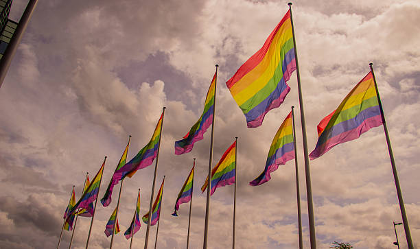 istock Flag of the LGBT community 614957544