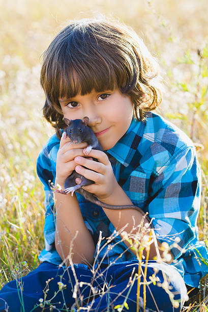 teenage happy boy playing with rat pet outdoor stock photo