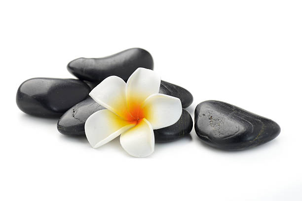 istock zen basalt stones and  Frangipani 614959340