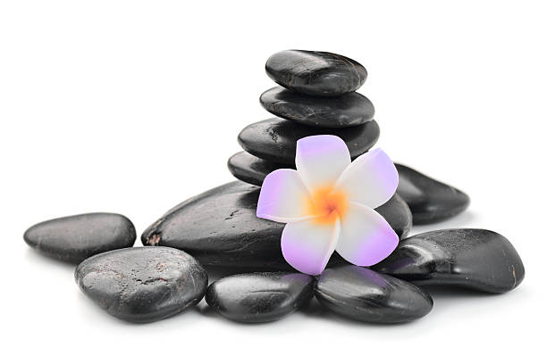istock zen basalt stones and  Frangipani 614959390