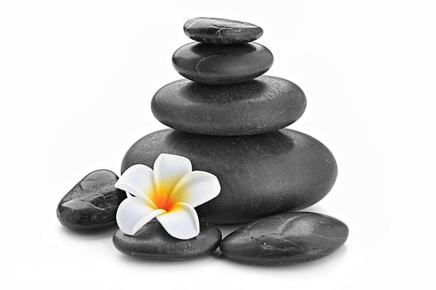 istock zen basalt stones and  Frangipani 614959456