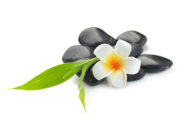 istock zen basalt stones ,frangipani and bamboo 614959484