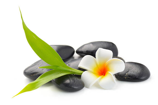 istock zen basalt stones ,frangipani and bamboo 614959526