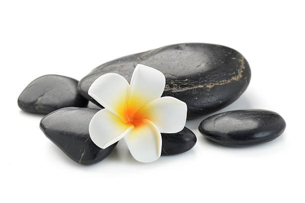 istock zen basalt stones and  Frangipani 614960078
