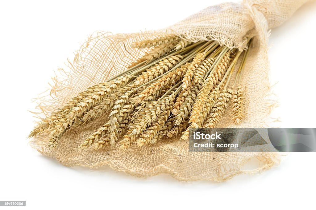 wheat wheat on the white background Agriculture Stock Photo
