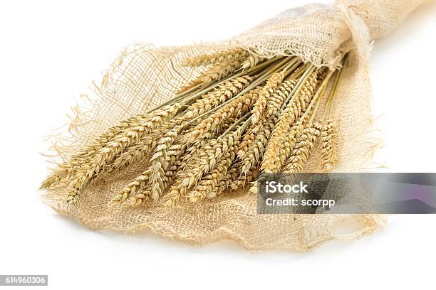 Wheat Stock Photo - Download Image Now - Agriculture, Bunch, Bundle