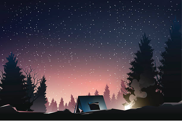 illustrazioni stock, clip art, cartoni animati e icone di tendenza di campeggio in pineta al crepuscolo - pine sunset night sunlight