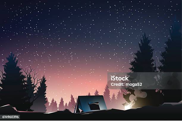 夕暮れ時に松林でキャンプ - キャンプするのベクターアート素材や画像を多数ご用意 - キャンプする, キャンプファイヤー, イラストレーション