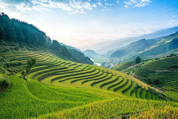 Terraced rice fields Rice fields on terraced of Mu Cang Chai, YenBai, Vietnam. Rice fields prepare the harvest at Northwest Vietnam chiang mai province stock pictures, royalty-free photos & images