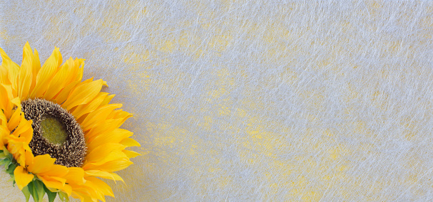 Sunflower, grey fiber fabric and yellow glitter film, background