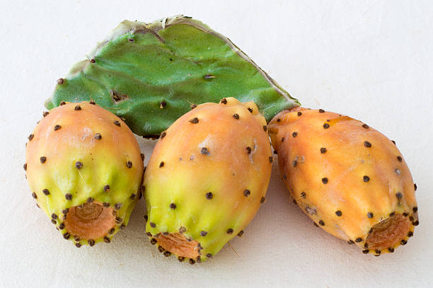 Prickly Pear Cactus Fruits Prickly Pear Cactus Fruits on a White Background opuntia vulgaris stock pictures, royalty-free photos & images