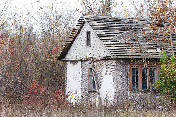 istock Abandoned hut among trees and bushes 614962916
