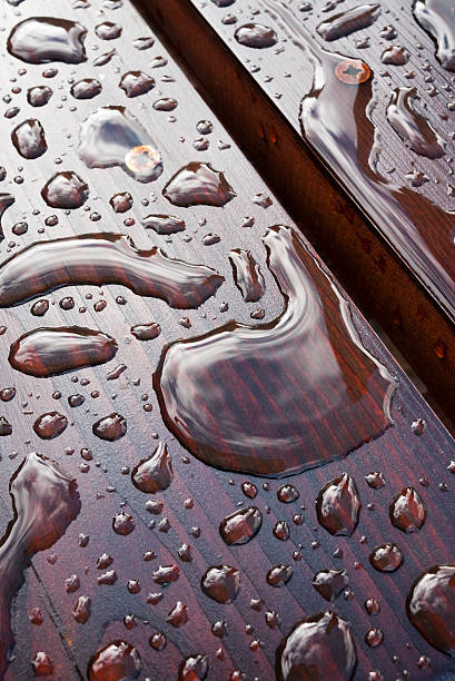 istock Drops of water. After rain. 614964800