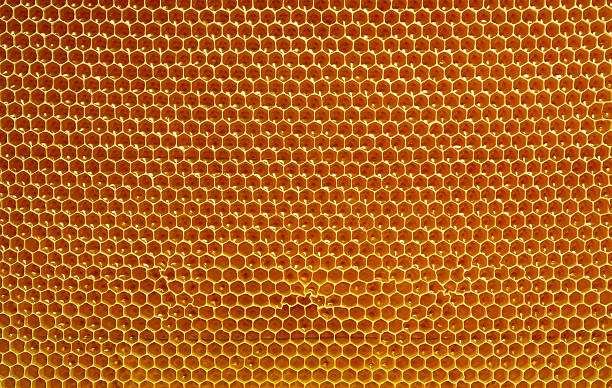 istock fresh honey in cells, honeycomb natural background 614968494