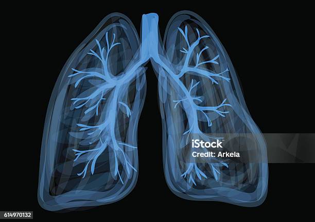 Lungs Stock Illustration - Download Image Now - Illustration, Abstract, Inhaling