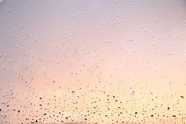 Rain drops on the window.
