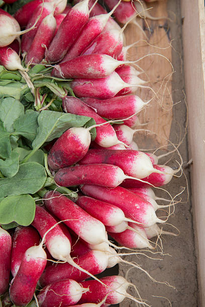 istock Raddish for Sale on Market Stall 614973040