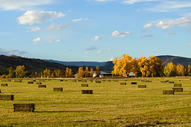 istock Colorado Farmland Near Boulder 614973382