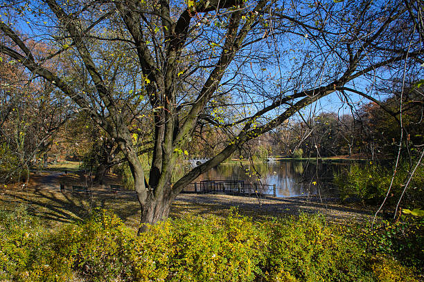 istock Autumn - the colors of trees 614974908