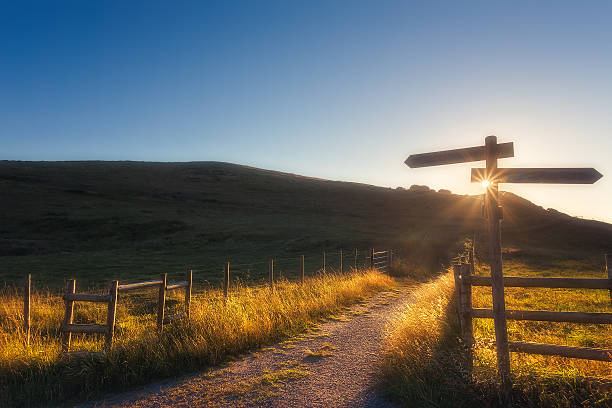 istock wooden signpost near a path 614976152