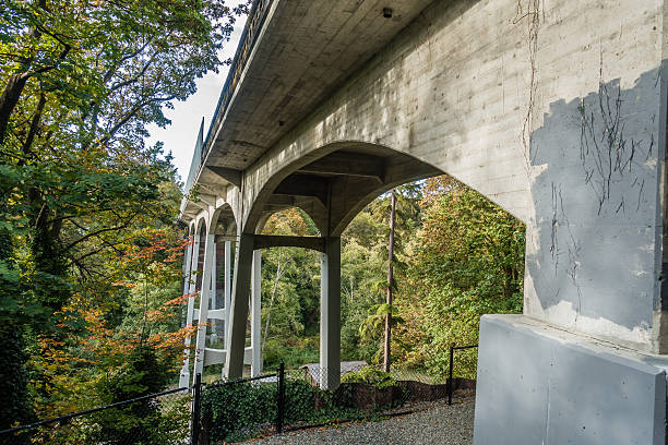 istock Bridge At Saltwater Park 5 614976618