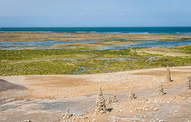 istock Atlantic coast on the island of Ile de Re . 614977186