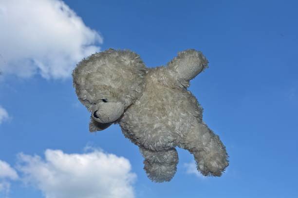 Profile side picture of overjoyed excited lady catching cute plushie teddy bear isolated on violet color background.