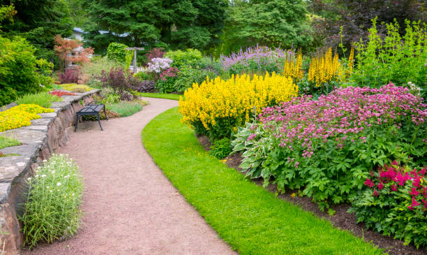 아름다운 공원의 정원 경로와 화단 - formal garden garden path bench flower 뉴스 사진 이미지