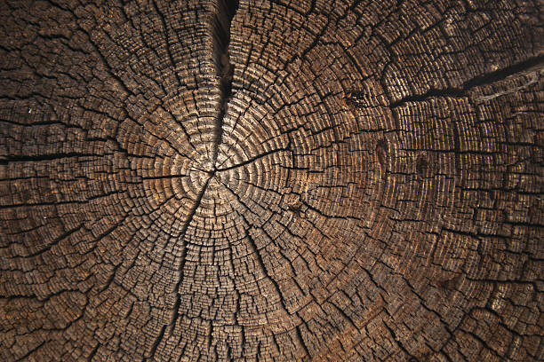 istock texture of dark wood. natural background. 614985364
