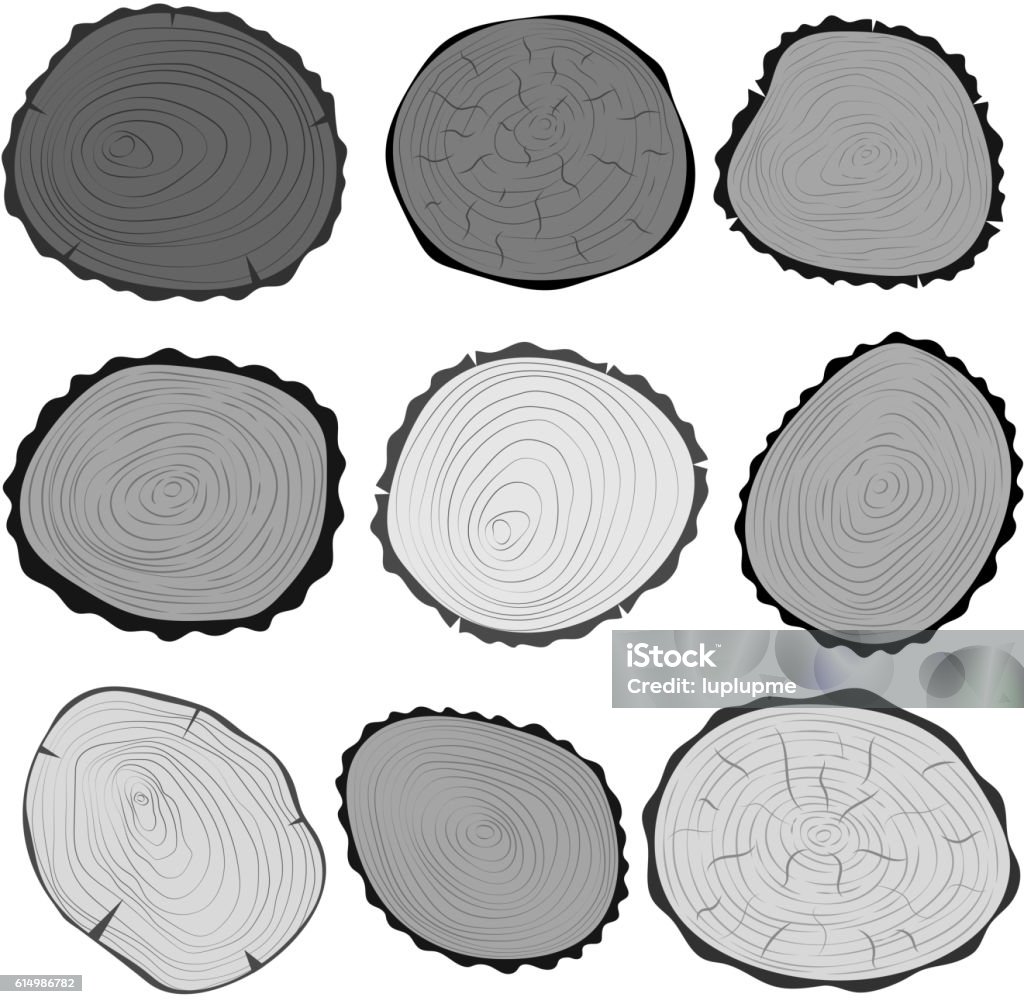 Tree Slicer Example Tree Slices Vector Isolated Stock Illustration - Download Image Now ...