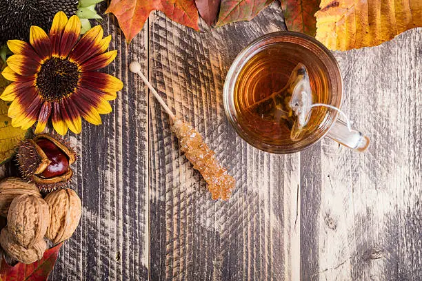 fall autumn hot fresh tea bad weather at home cozy cocooning concept