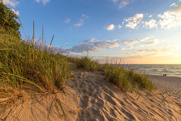 istock Warm Summer Breeze On The Beach 614990424